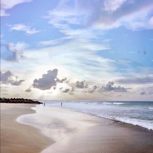 Meet your Posher, Dee